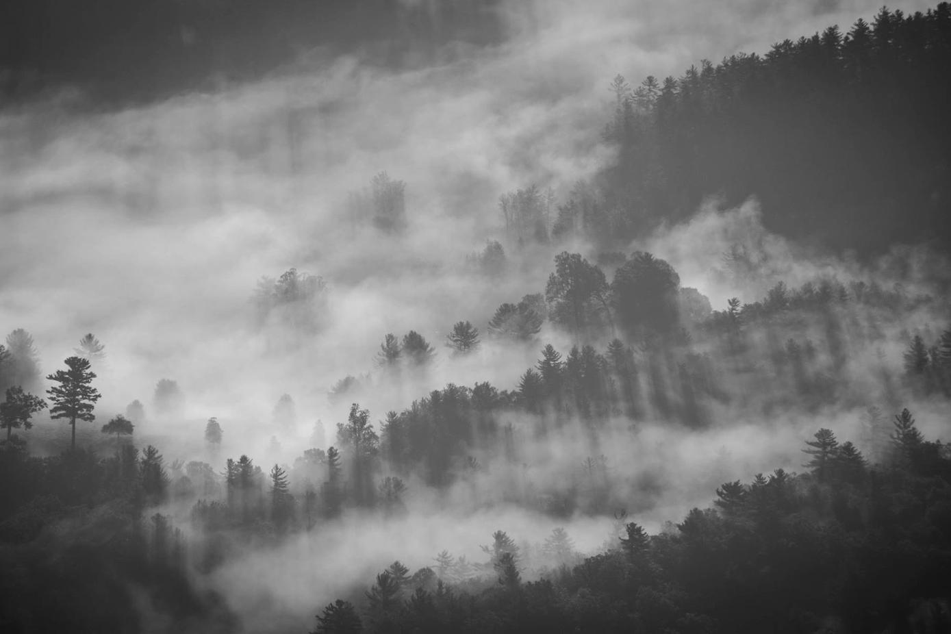 Veniam sed excepturi repudiandae at quia qui